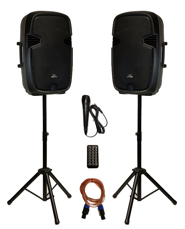 GiG Master Dual 15" Professional audio system