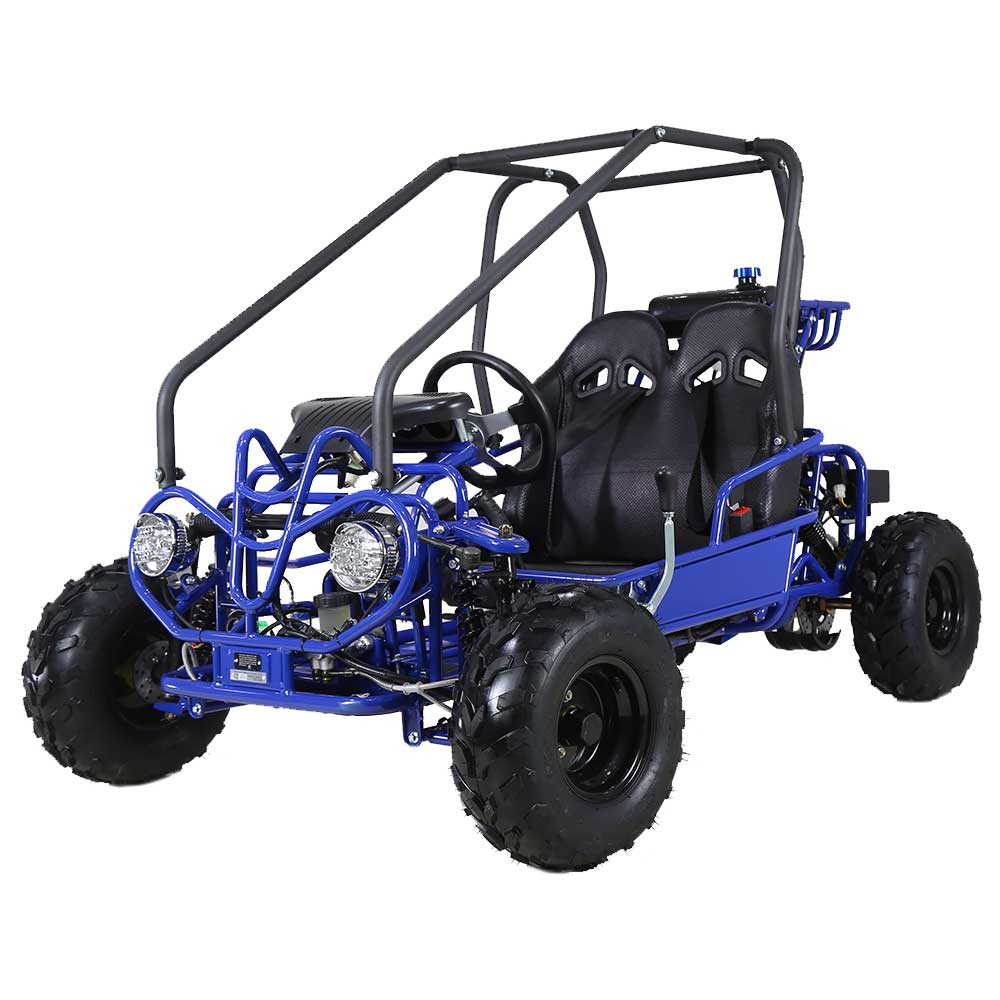 125cc Seater Kids Go Kart – Electron-x LLC