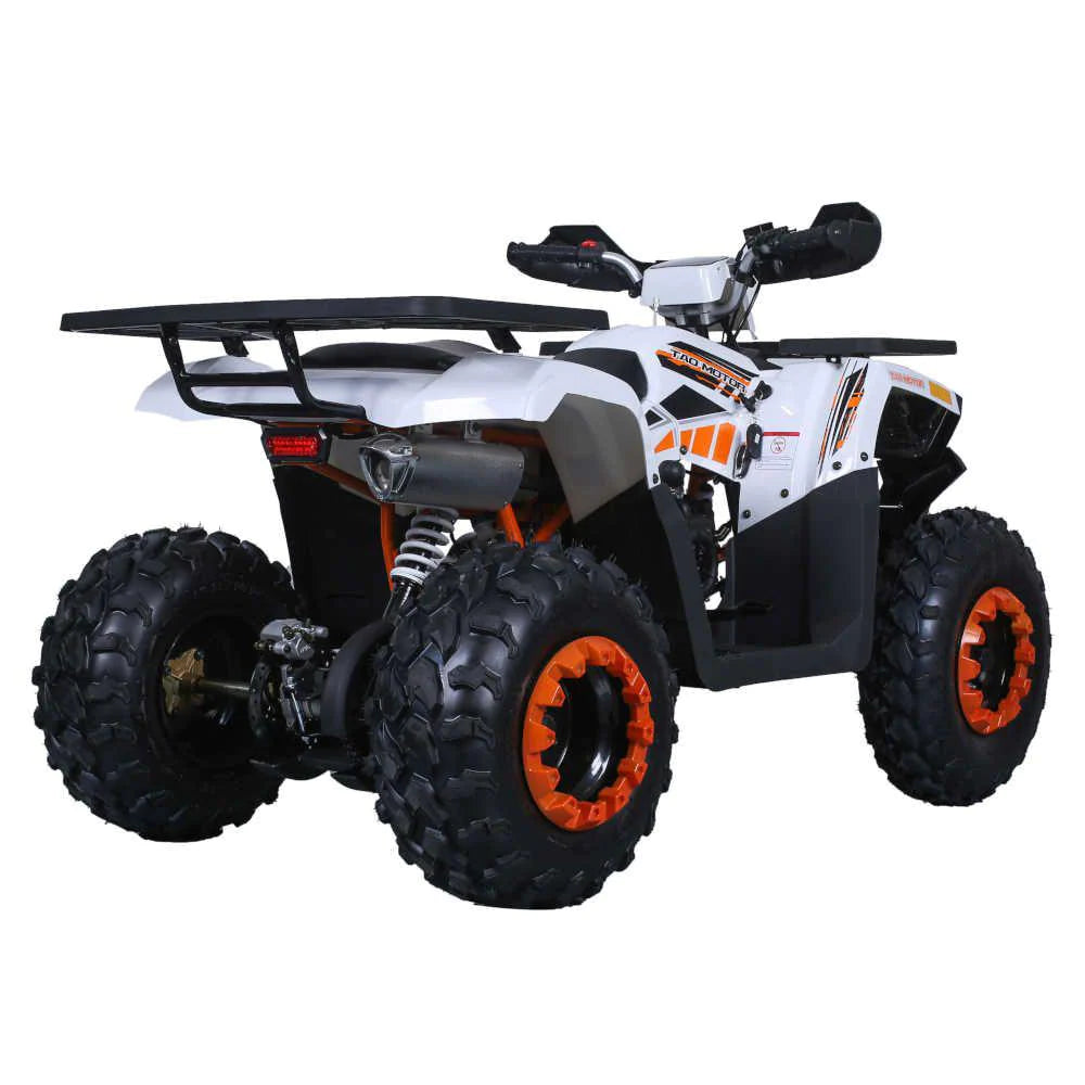 200cc Raptor TAO Motors high quality with digital display