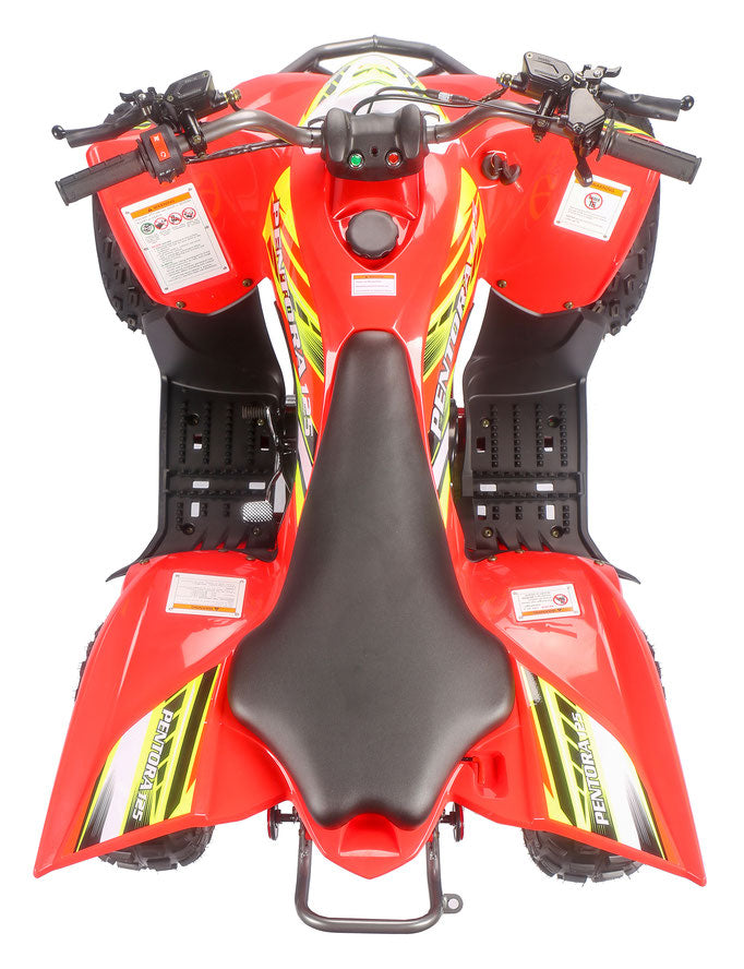 PENTORA 125cc ATV High Quality Quad
