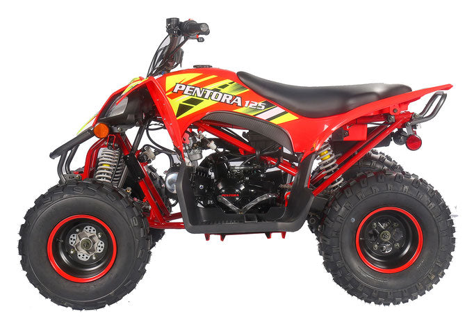 PENTORA 125cc ATV High Quality Quad