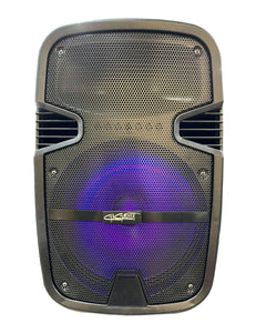 12" Portable Bluetooth Speaker TWS and Microphone Included