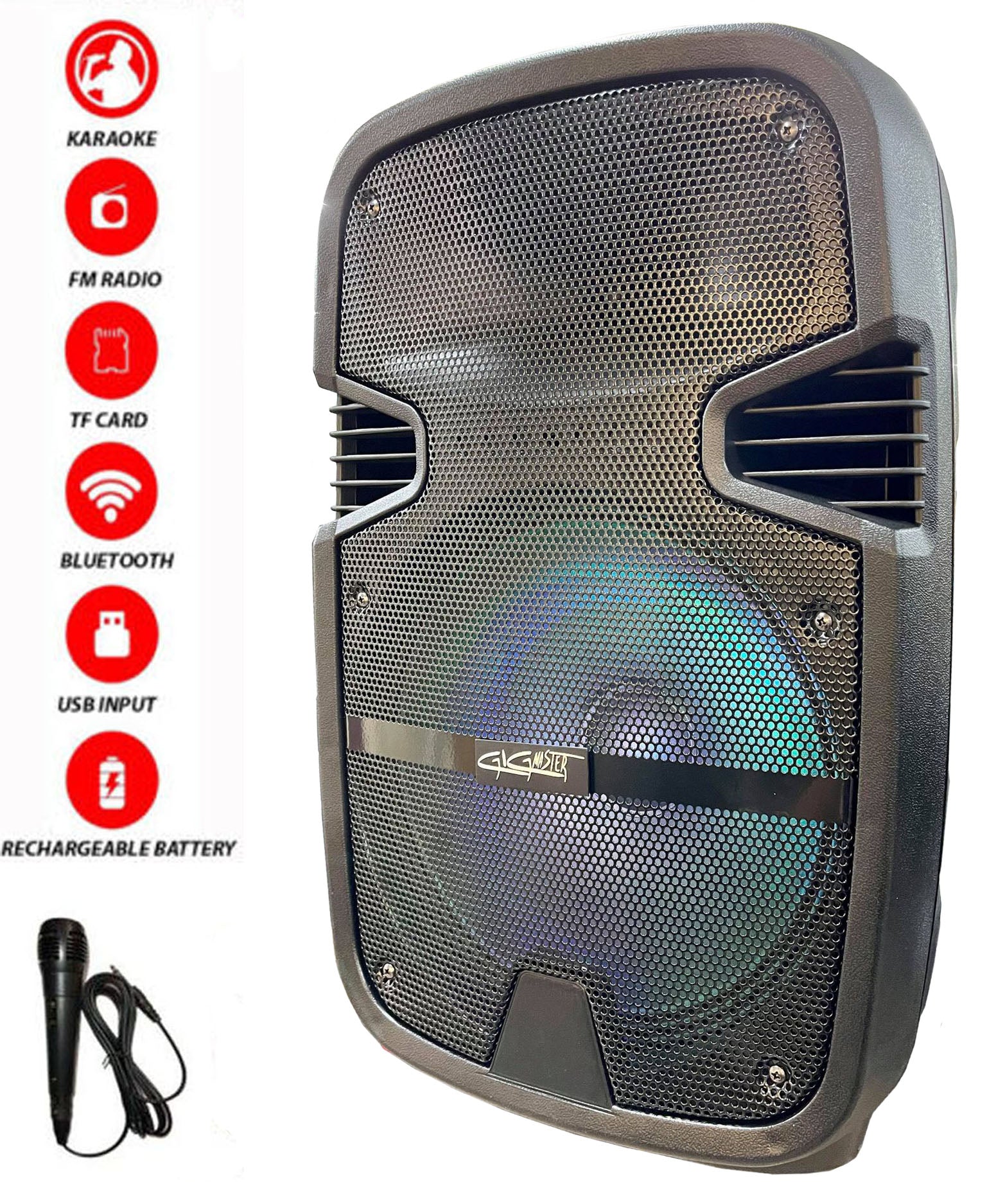 12" Portable Bluetooth Speaker TWS and Microphone Included