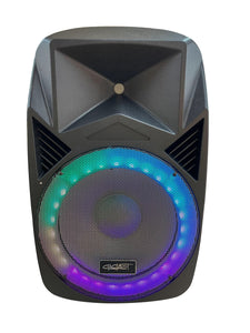 15" High Powered Bluetooth Speaker with Speakon Output