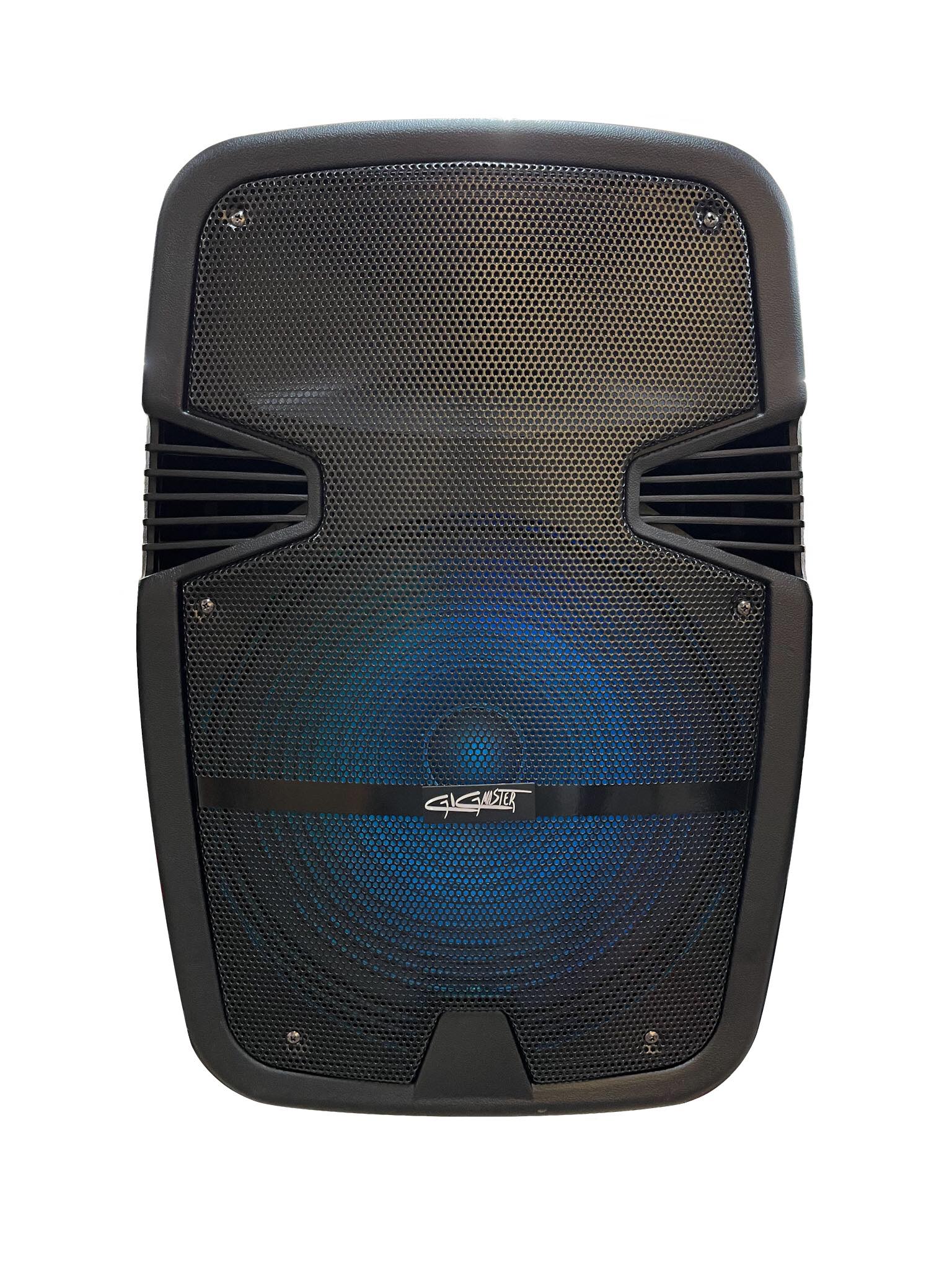 15" Portable Bluetooth Speaker TWS and Microphone Included