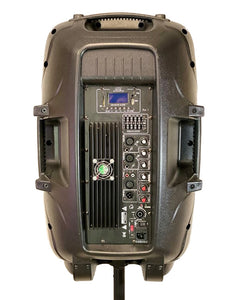 GiG Master Dual 15" Professional audio system