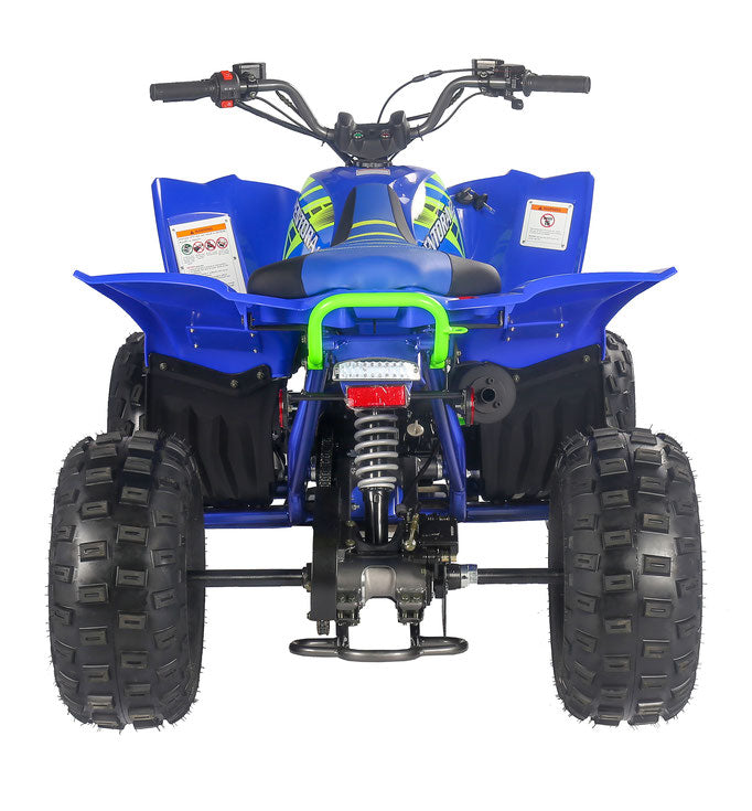 PENTORA 125cc ATV High Quality Quad