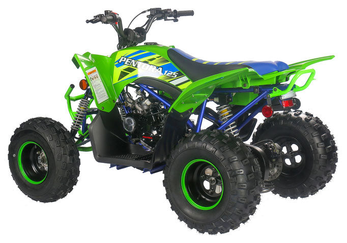 PENTORA 125cc ATV High Quality Quad
