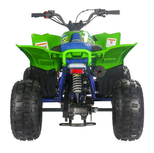PENTORA 125cc ATV High Quality Quad