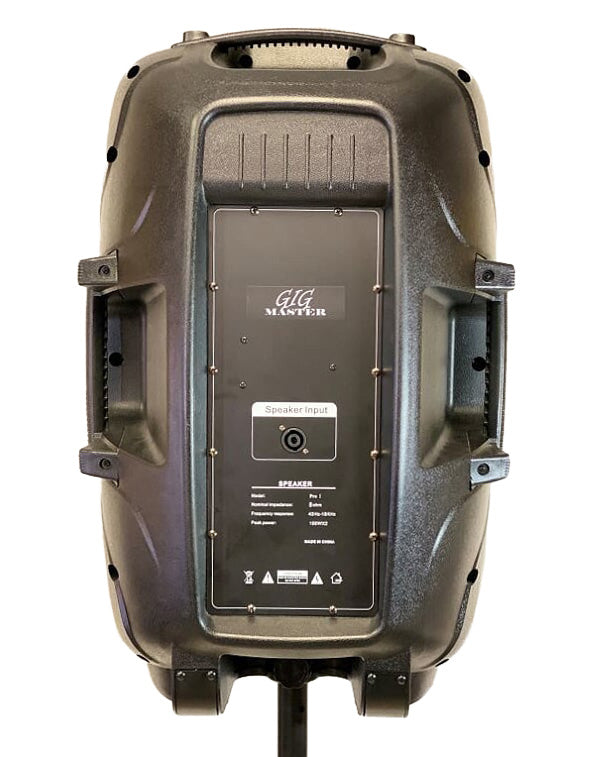 GiG Master Dual 15" Professional audio system