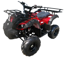 Load image into Gallery viewer, Rider 7 Vitacci 125cc ATV