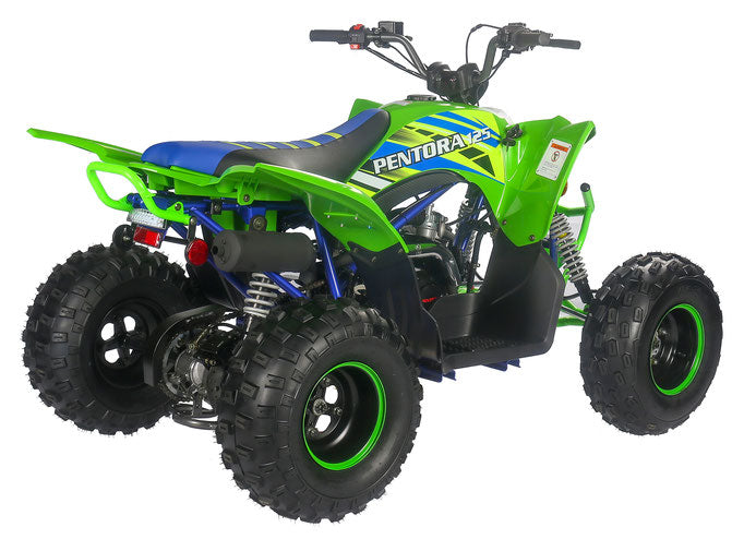 PENTORA 125cc ATV High Quality Quad