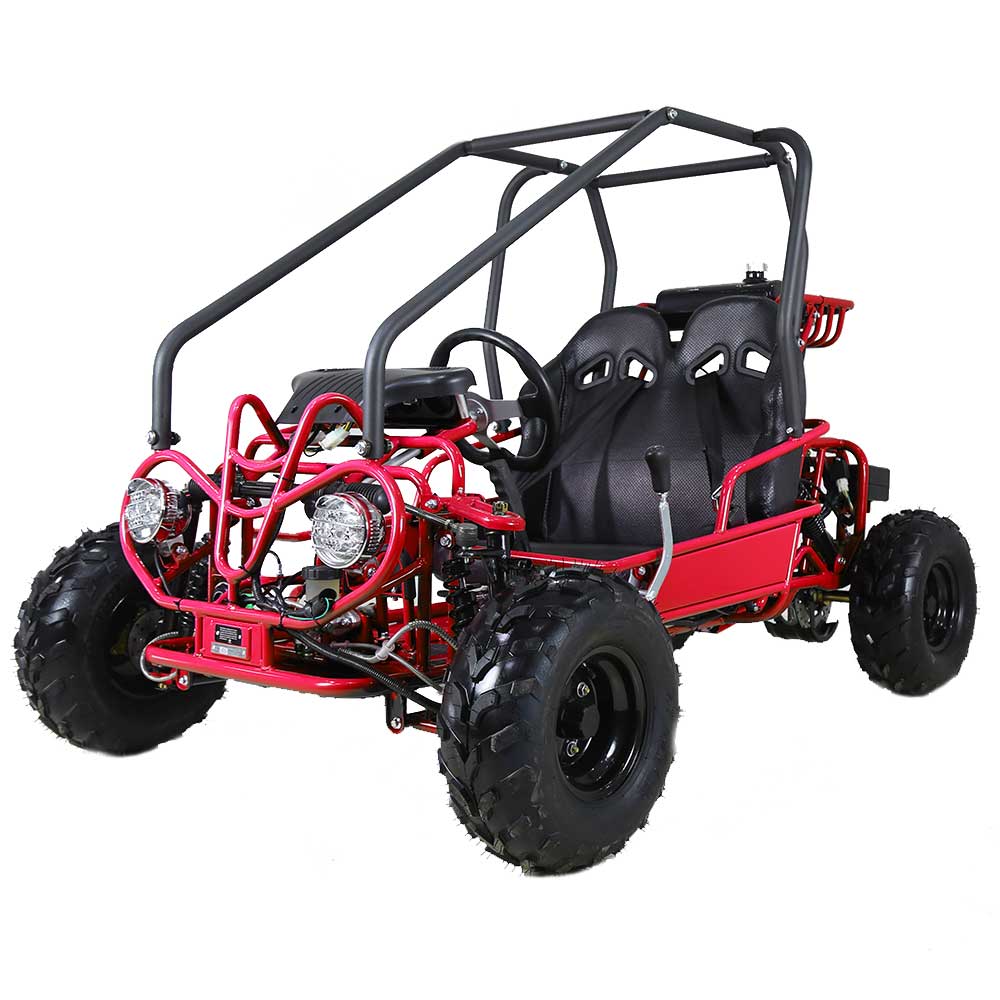 125cc 2 Seater Kids Go Kart