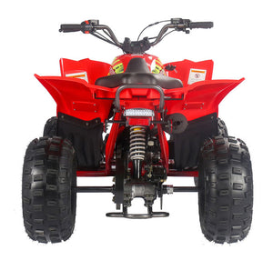 PENTORA 125cc ATV High Quality Quad